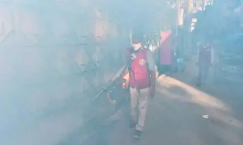 Bangladesh reports 251 dengue deaths