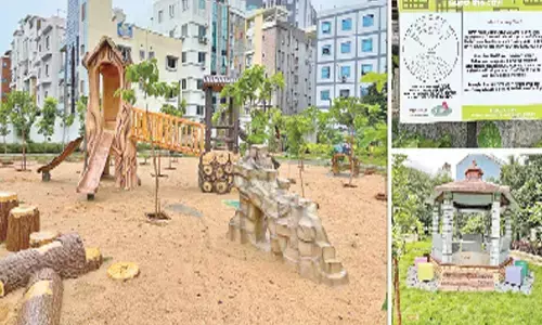 Techies Park: A green oasis amidst concrete jungle