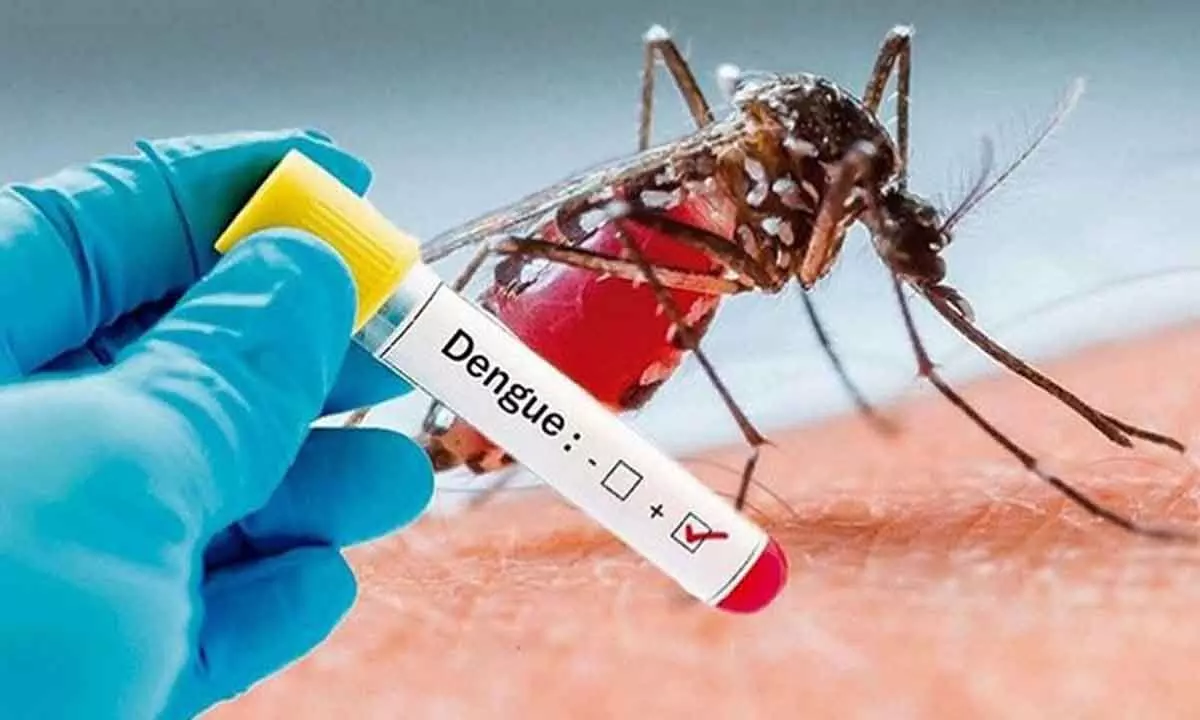 Bangladesh reports 57,127 dengue cases, 273 deaths so far this year
