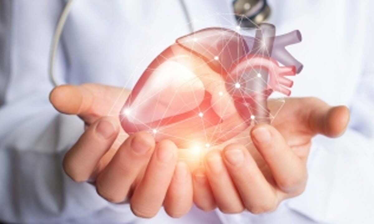 Heart Transplant Day 2023: Tips for a Healthy Heart