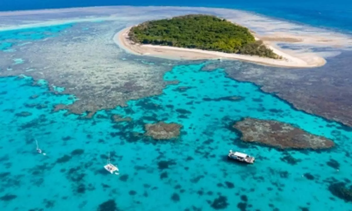Great Barrier Reef faces irreversible impacts of climate change: Report