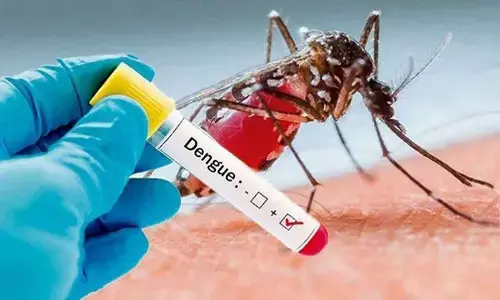 Dengue cases in Bengal top 38K mark