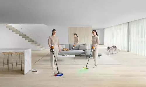 Dyson V12s Submarine Detect Slim