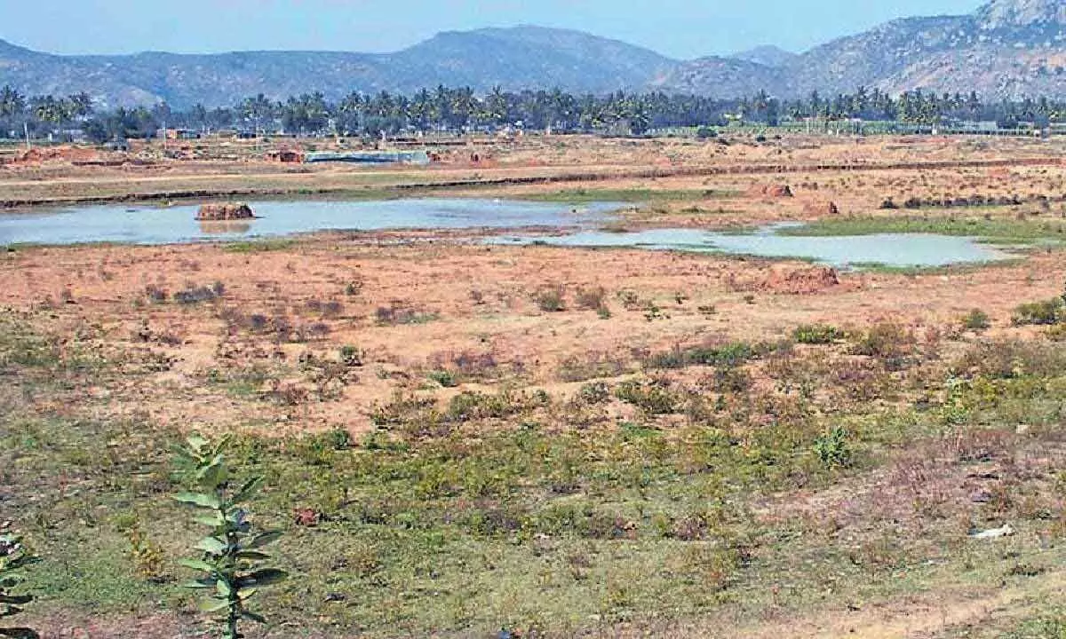 478 lakes dried up in state despite good rainfall in July