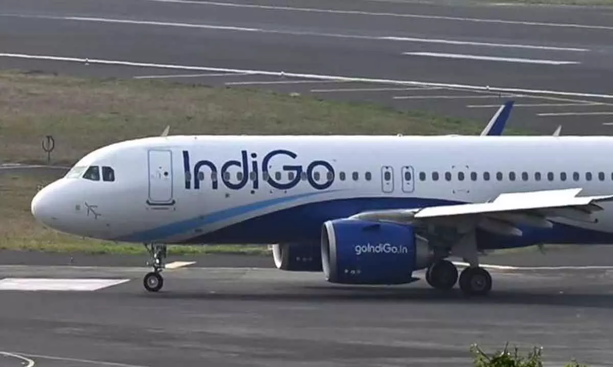 Delhi bound Indigo flight makes emergency landing at Patna