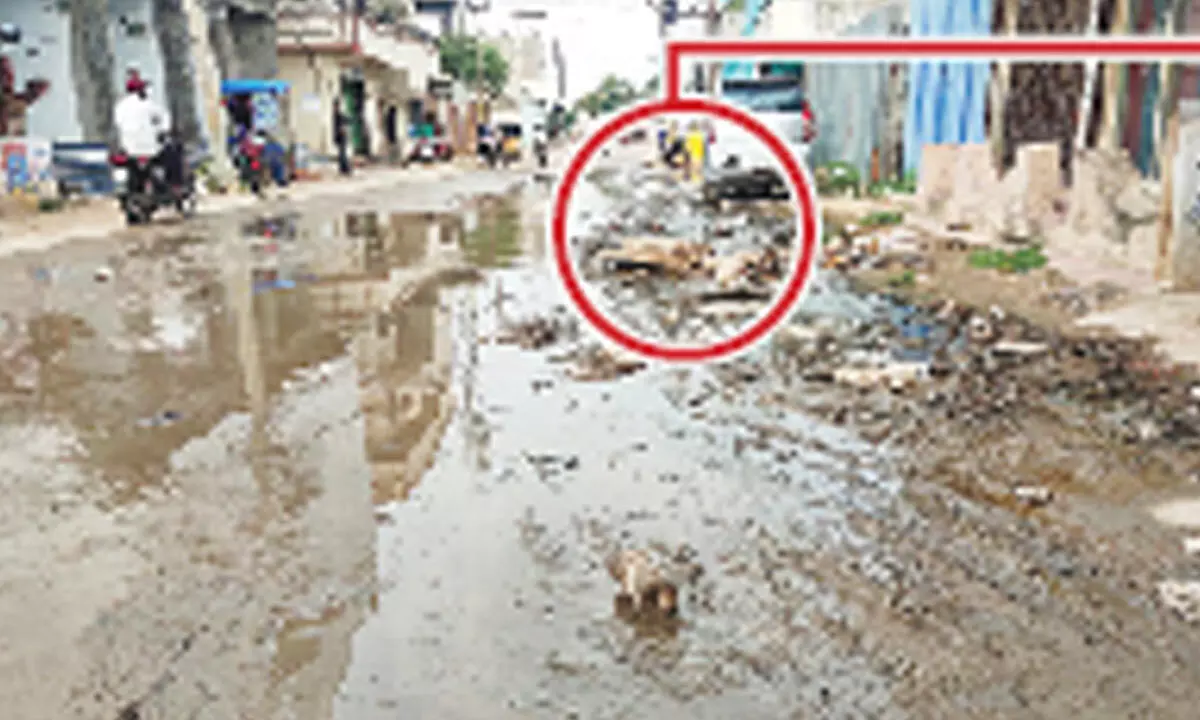 Rangareddy: Jalpally dwellers fume over faulty road works