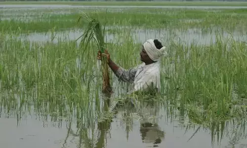 Centre does nothing for flood-hit farmers: Agri Min