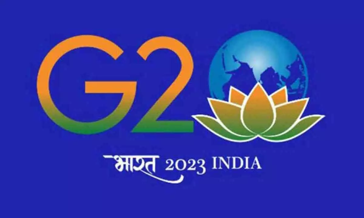 G20 Summit: PWD, Delhi civic body told to frame contingency plan for waterlogging in case of heavy rain