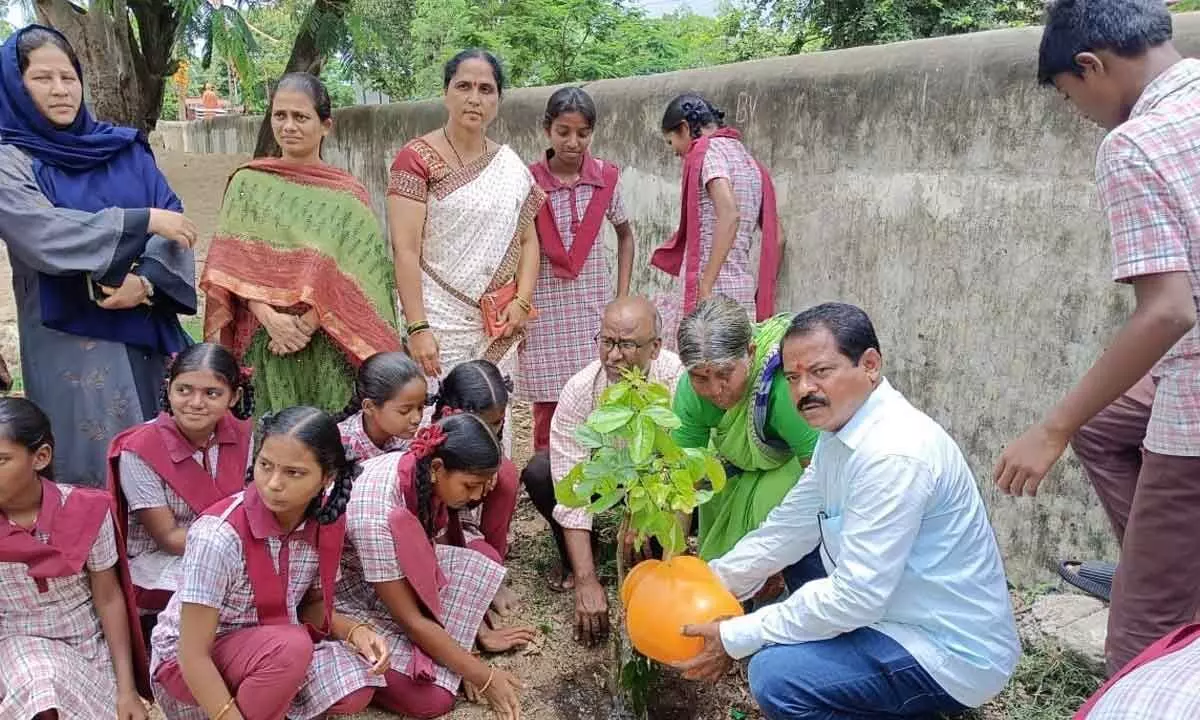 Planting trees every citizen’s responsibility: Devarkadra MPDO