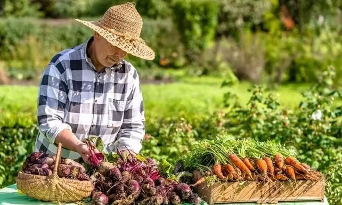Health impact of organic farming
