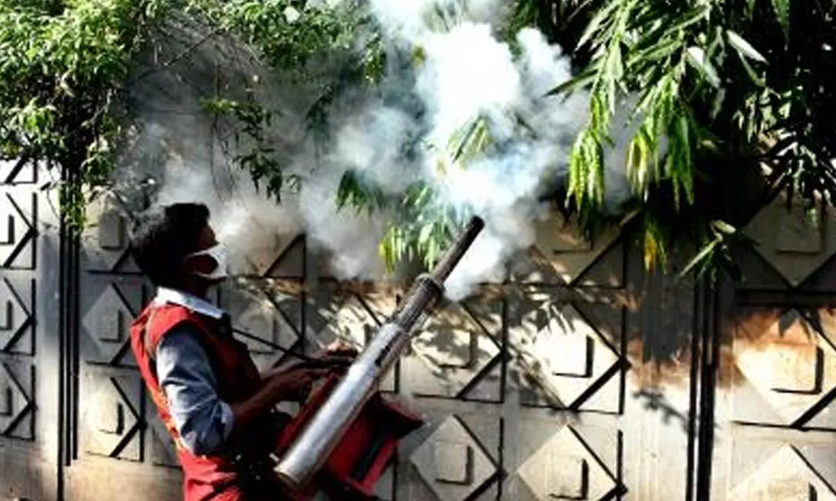 Bangladesh: Dengue death toll exceeds 300, caseload nears 64k this year