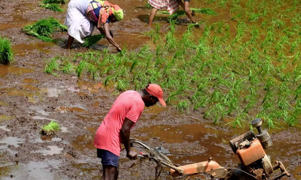 Kerala Catholic Bishops Conference to observe Aug 17 as Farmers Deception Day