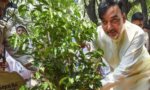Environment and Forest Minister Gopal Rai of Delhi inaugurated the fourth Van Mahotsav today