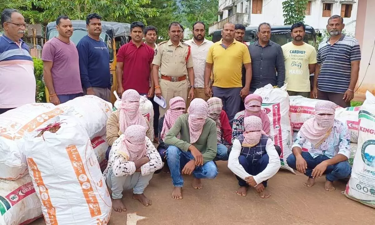 Police producing ganja smugglers and seized ganja at Chintapalli on Monday