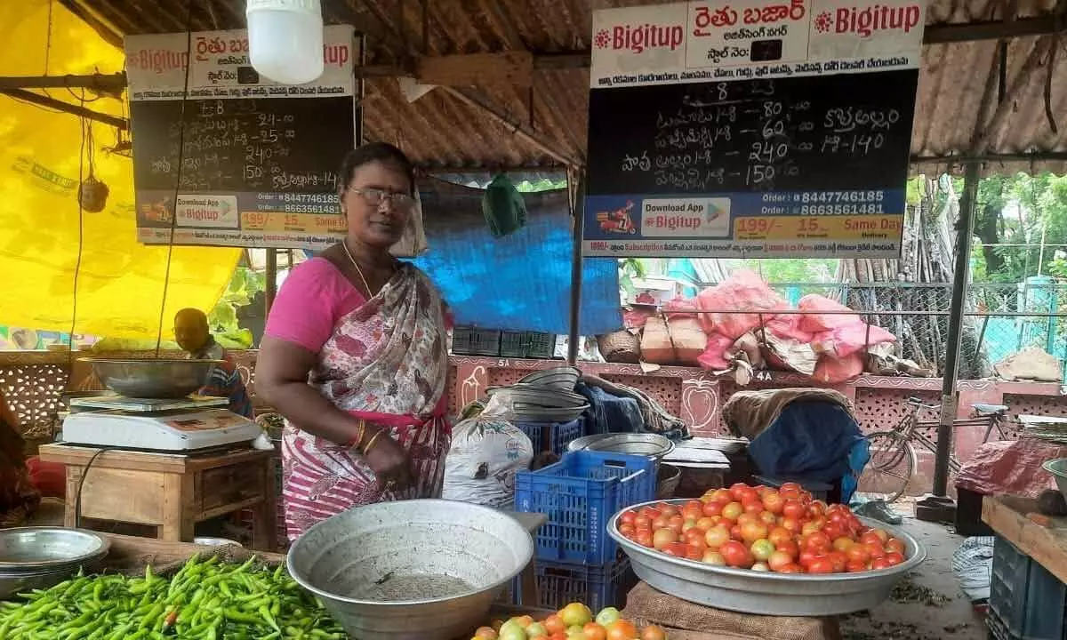Tomatoes being sold at Ajit Singh Nagar Rythu Bazaar  in Vijayawada