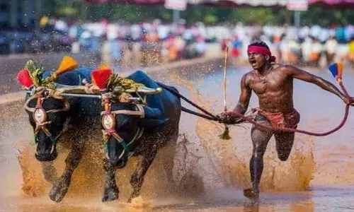 Kambala goes to Bengaluru
