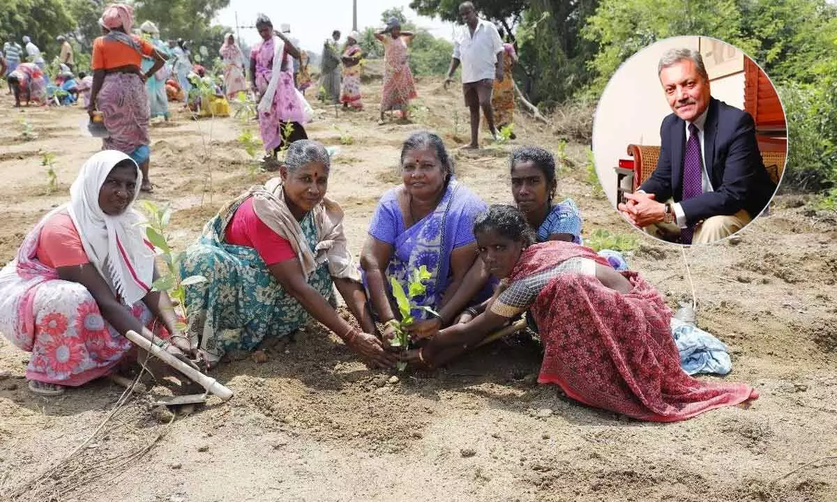 Discover how Tamil Nadu’s marginalised’ Irula tribe’ is discovering agency and self-sufficiency through plantation activities