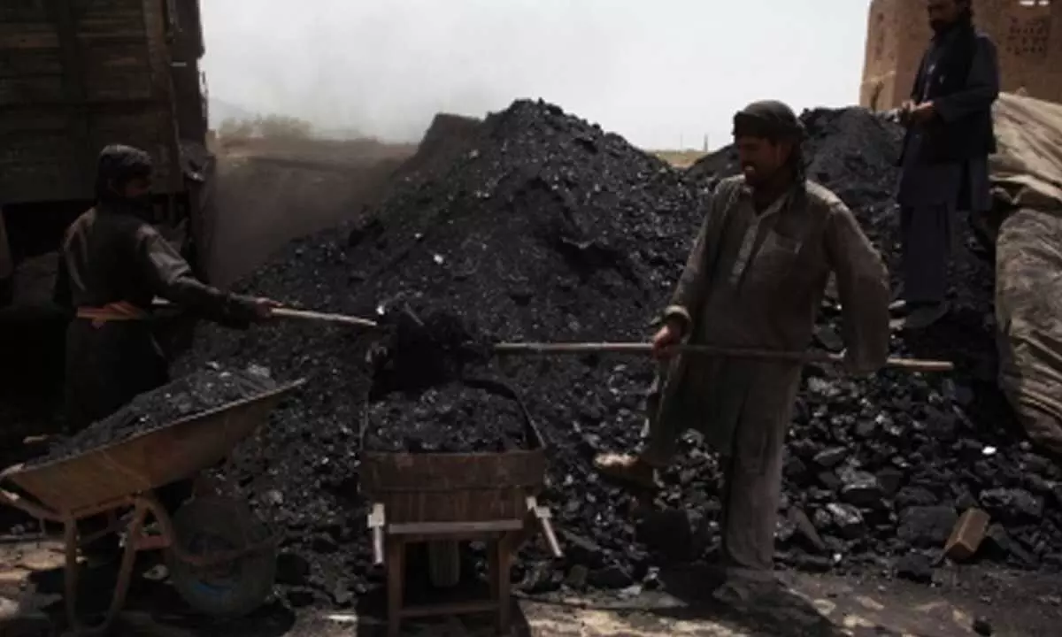 Coal India posts lower net on consolidated basis at Rs 7,971cr
