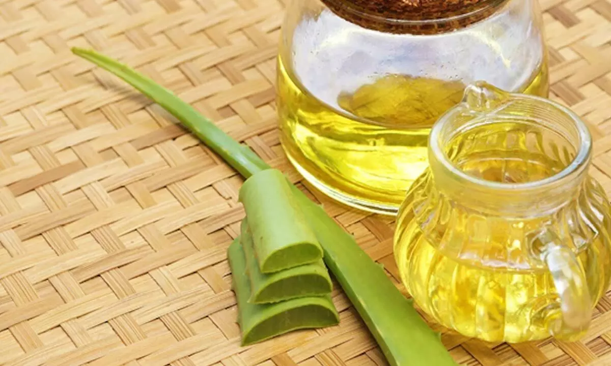 Monsoon Hair Care: Expert shares benefits of Aloe Vera + Coconut for soft hair & frizz control