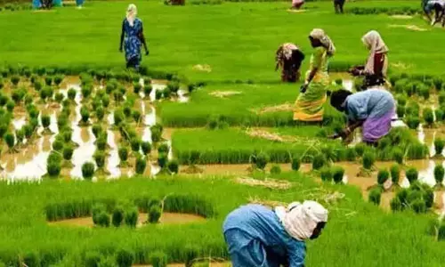 Nalgonda: Officials trained for conduct of agriculture census