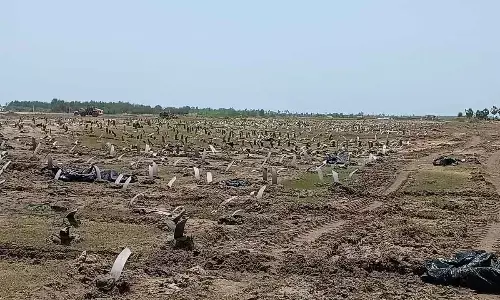 Machilipatnam Port works at brisk pace