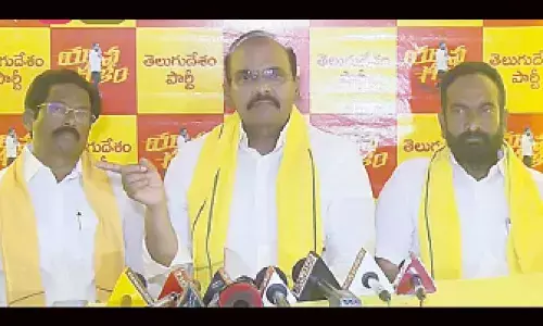 YSRCP impatient with critics: Pulla Rao