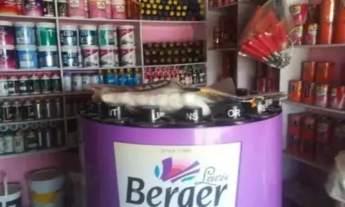 Berger Paints India Q1 net profit rises 40 pc to Rs 355 crore