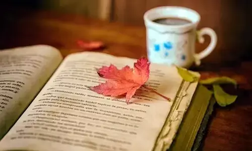 Book Lovers Day 2023: History, Significance & Quotes