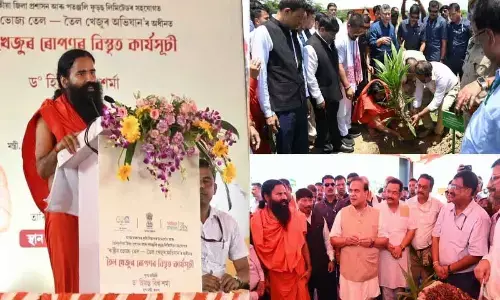 Patanjali takes part in Oil Palm Mega Plantation Drive in Assam