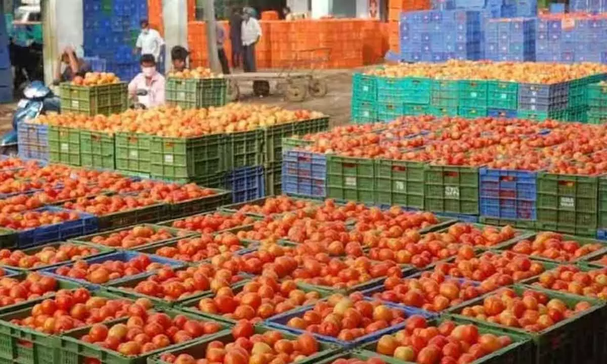 Tomato prices begin to ease in Bengaluru as supply surges; stabilization still awaited