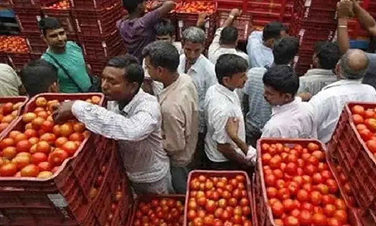 Andhra Pradesh: Tomato prices sees a further fall in Madanapalle