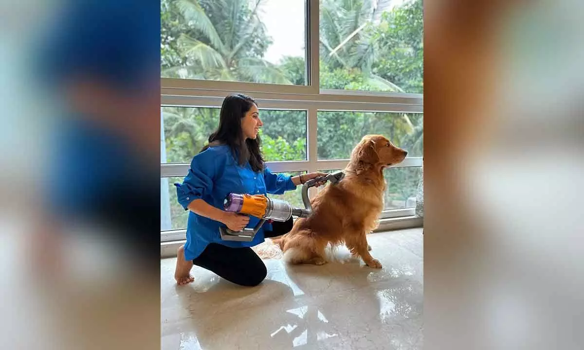 How to take care of your dogs during rainy season: Experts