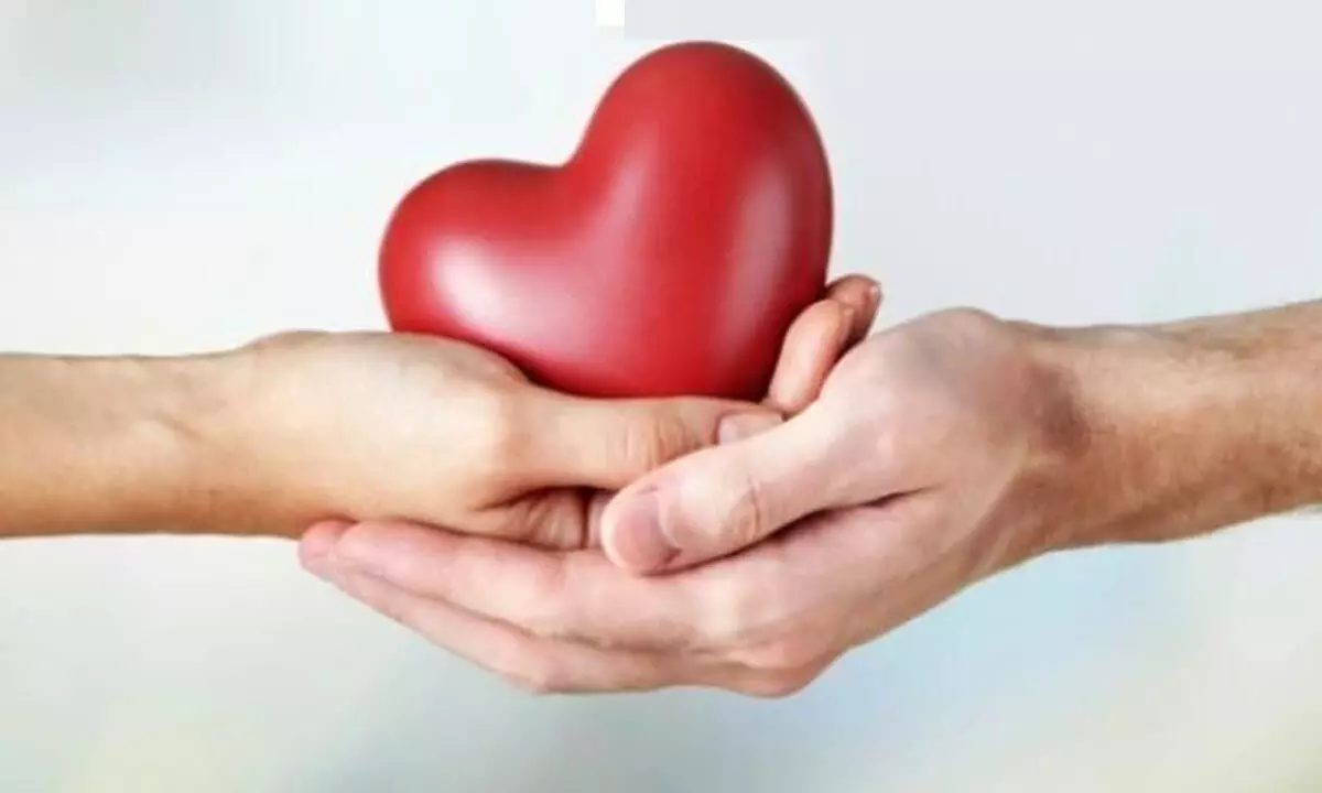 World Organ Donation Day 2023