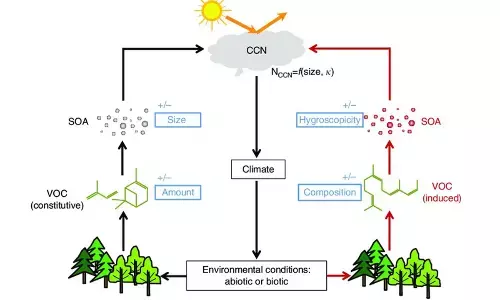 IIT-M team finds how power plant emissions affects cloud formation