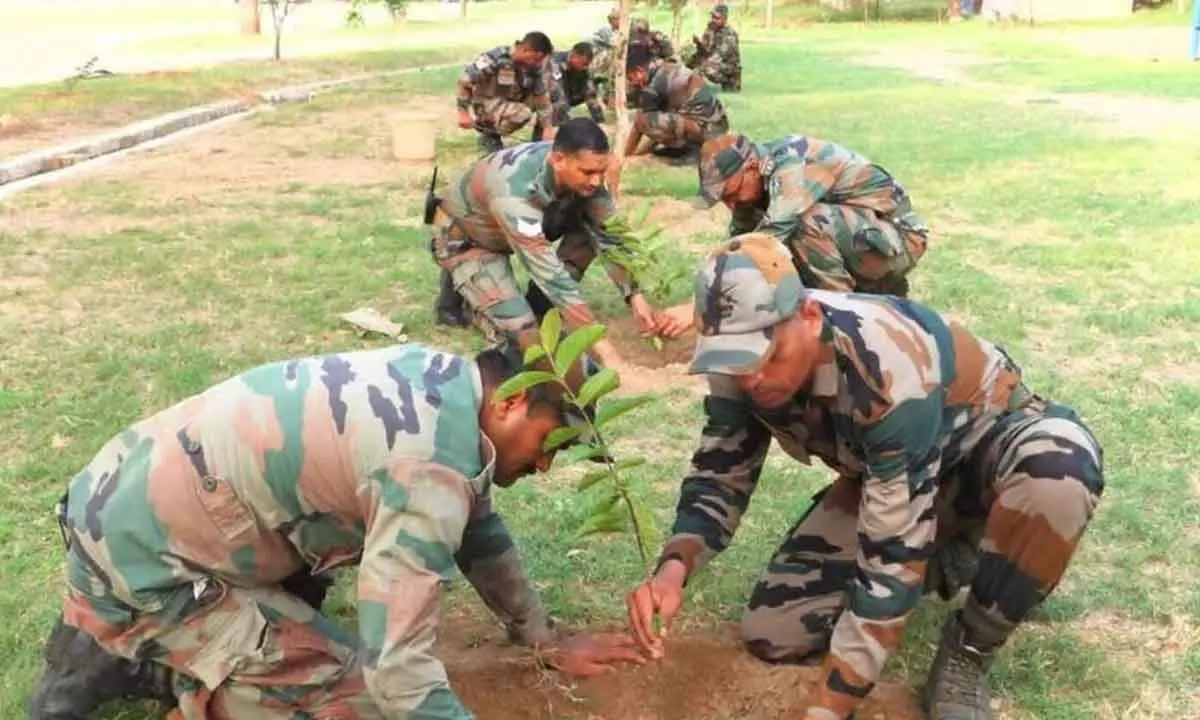 Srikakulam: Green Army plants saplings