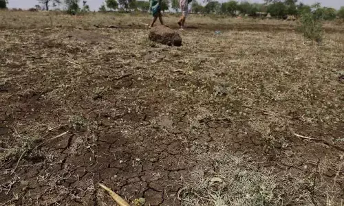 Vijayawada: Scanty rainfall haunts state
