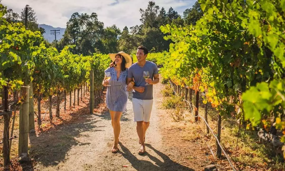 Toast to California Wine Month