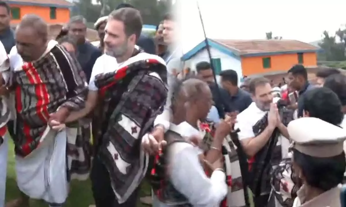 Rahul Gandhi Joins Tribal Dance In Tamil Nadu: Embracing Culture Amid Political Engagements
