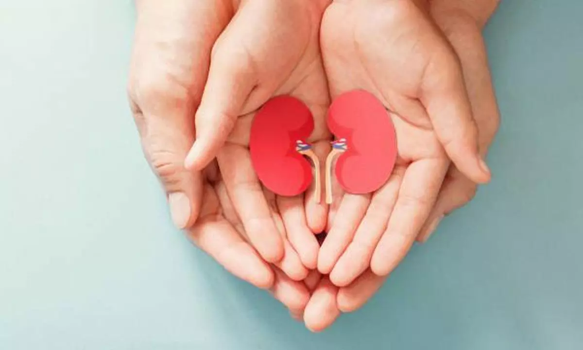 Celebrating the Gift of Life on World Organ Donation Day: A Tribute to Selfless Heroes