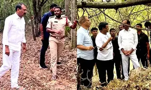 Security beefed up along Tirumala temple route after leopard killed girl