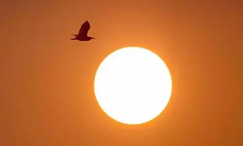 Artificially dimming the Sun may not help prevent Antarctic ice melt