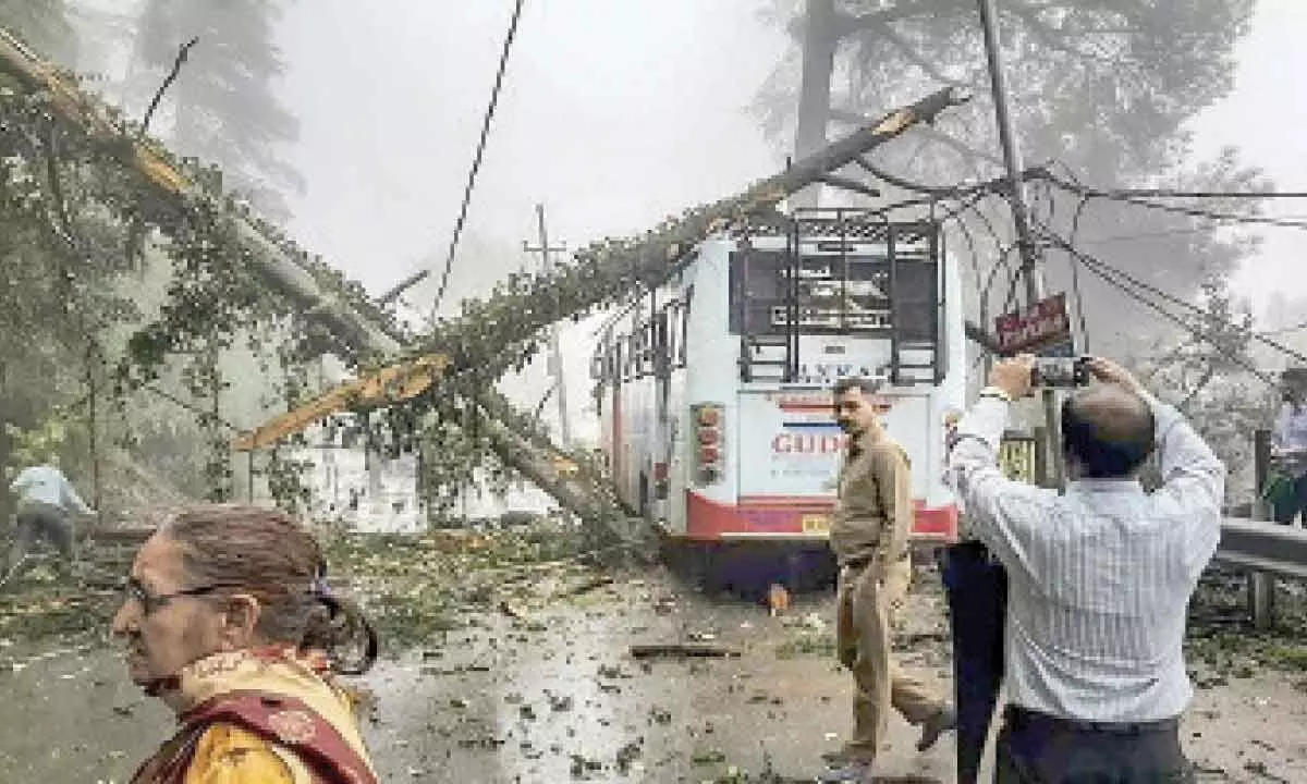 Shimla: 48 killed in Himachal rains, 14 of them in landslides