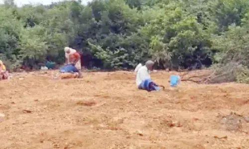 Picture for representational purpose only