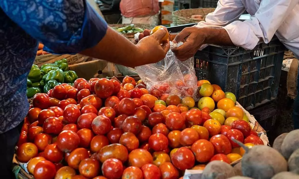 Lucknow: Tomato prices in UP fall to Rs 100/kg