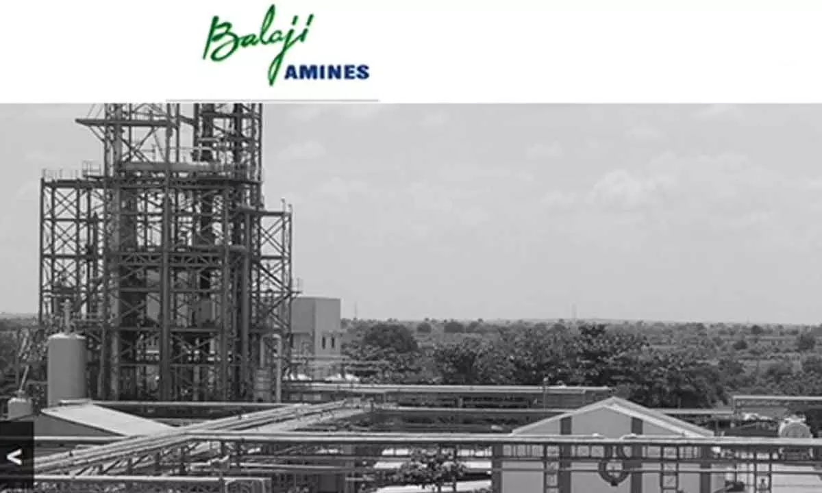 Balaji Amines financial results delayed due to unavailability of management