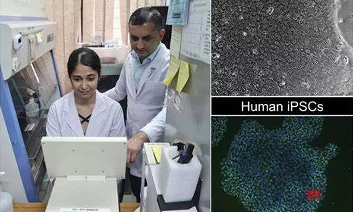 Researchers from IIT Guwahati produce pluripotent stem cells from skin cells