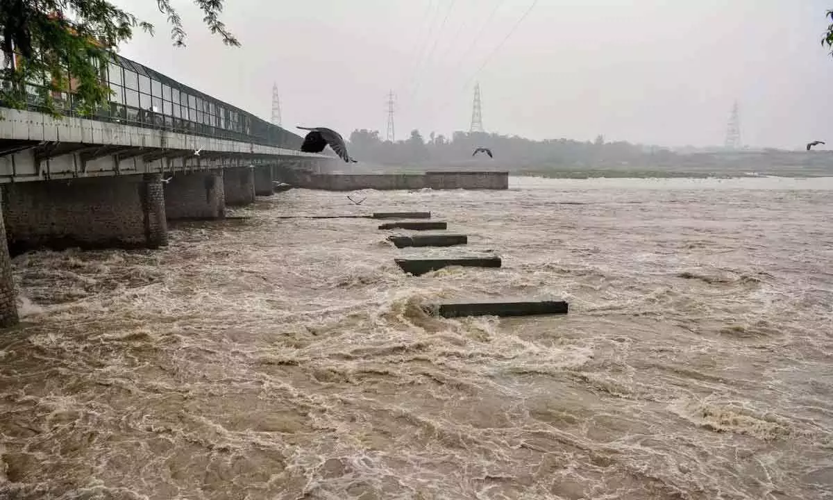 Yamuna River Water Level Recedes And Stabilizes After Crossing Danger Mark