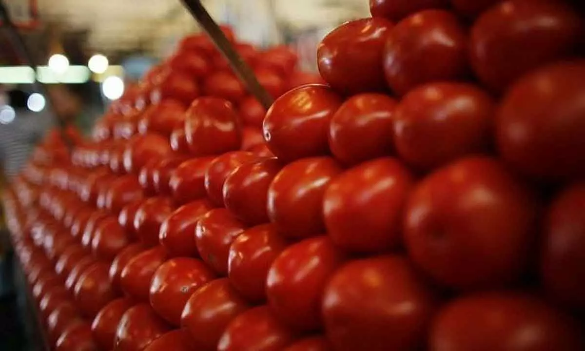 New Delhi: Uttar Pradesh imports 5 tonne tomatoes from Nepal