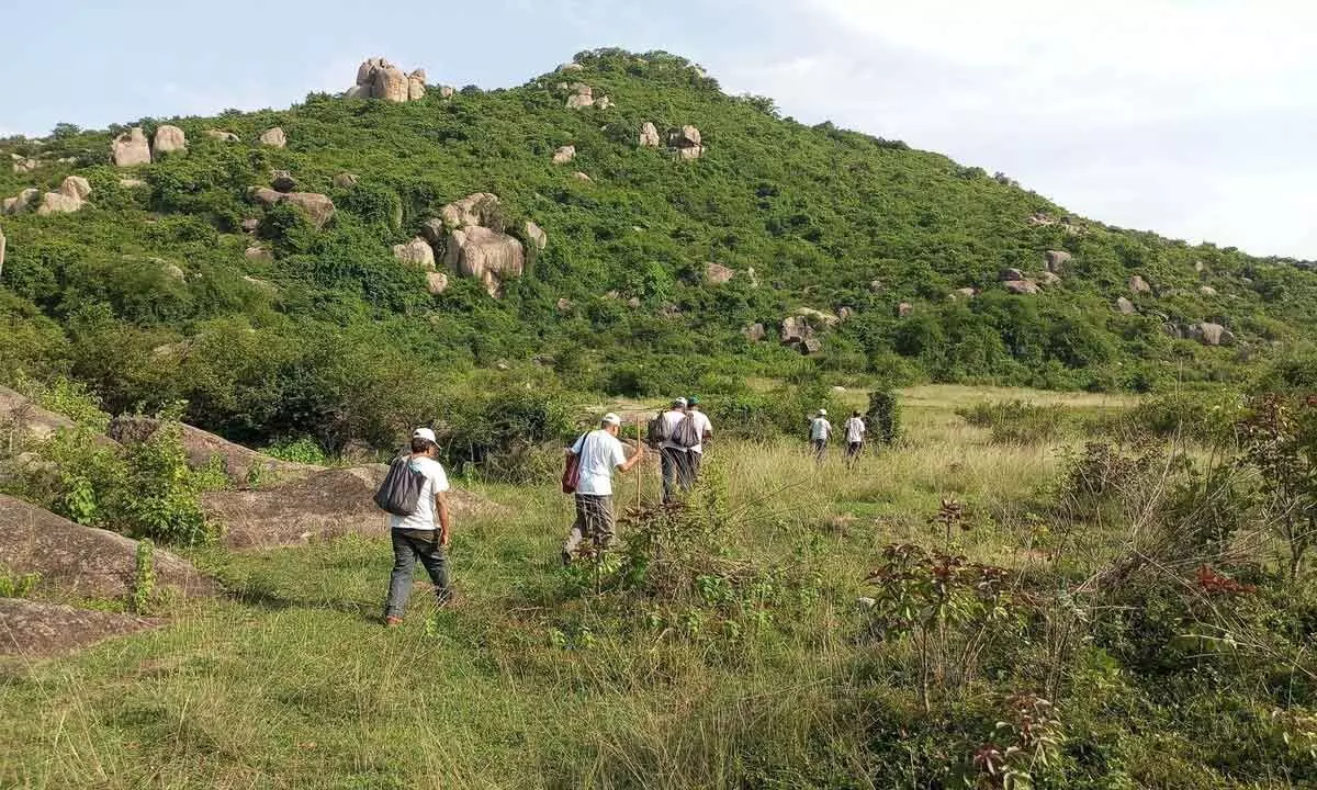 ‘Greenman’ completes green cover on 7 more bald hills in Ganjam