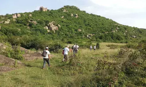 ‘Greenman’ completes green cover on 7 more bald hills in Ganjam